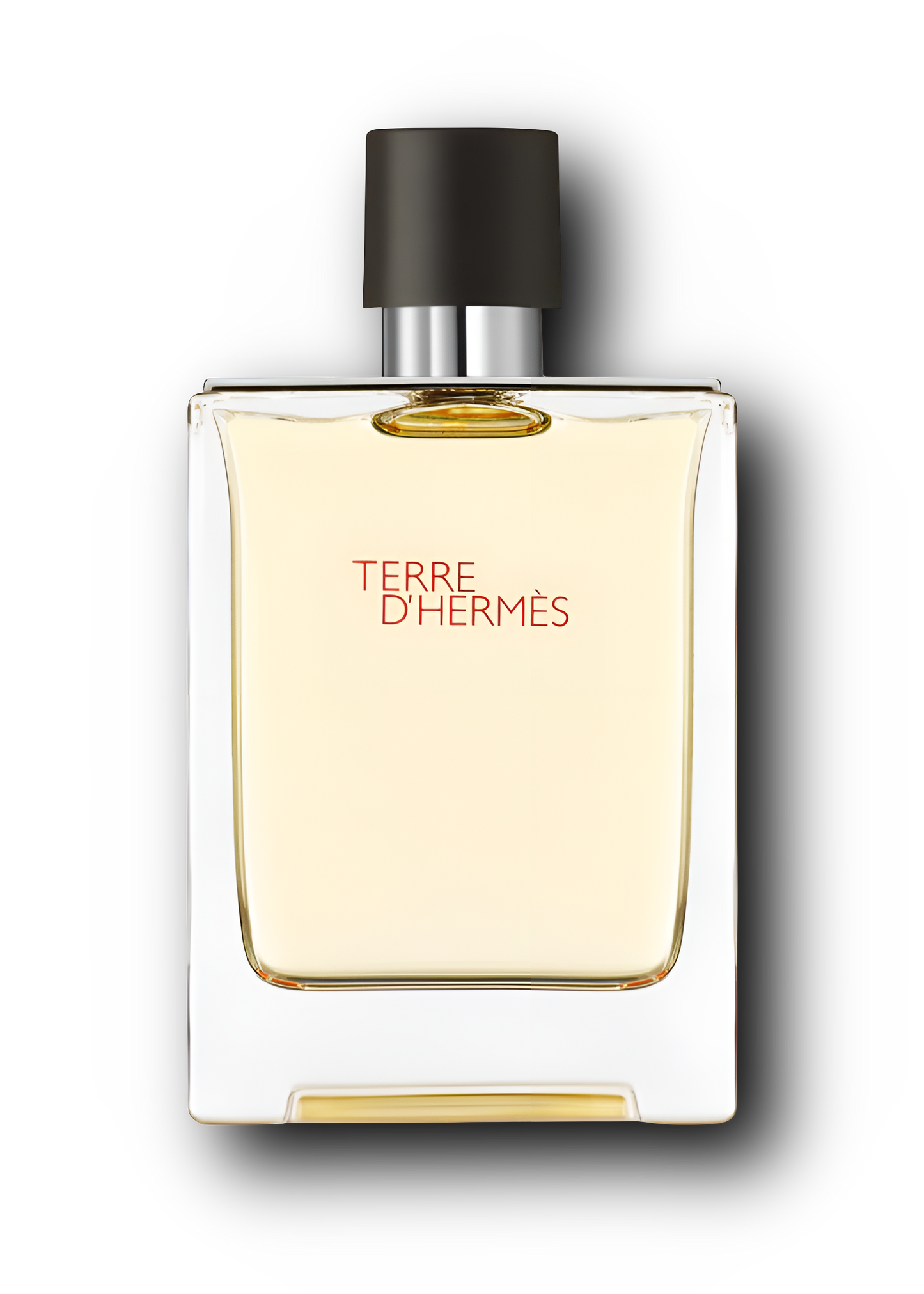 Hermes Terre D'Hermes Eau De Toilette Spray