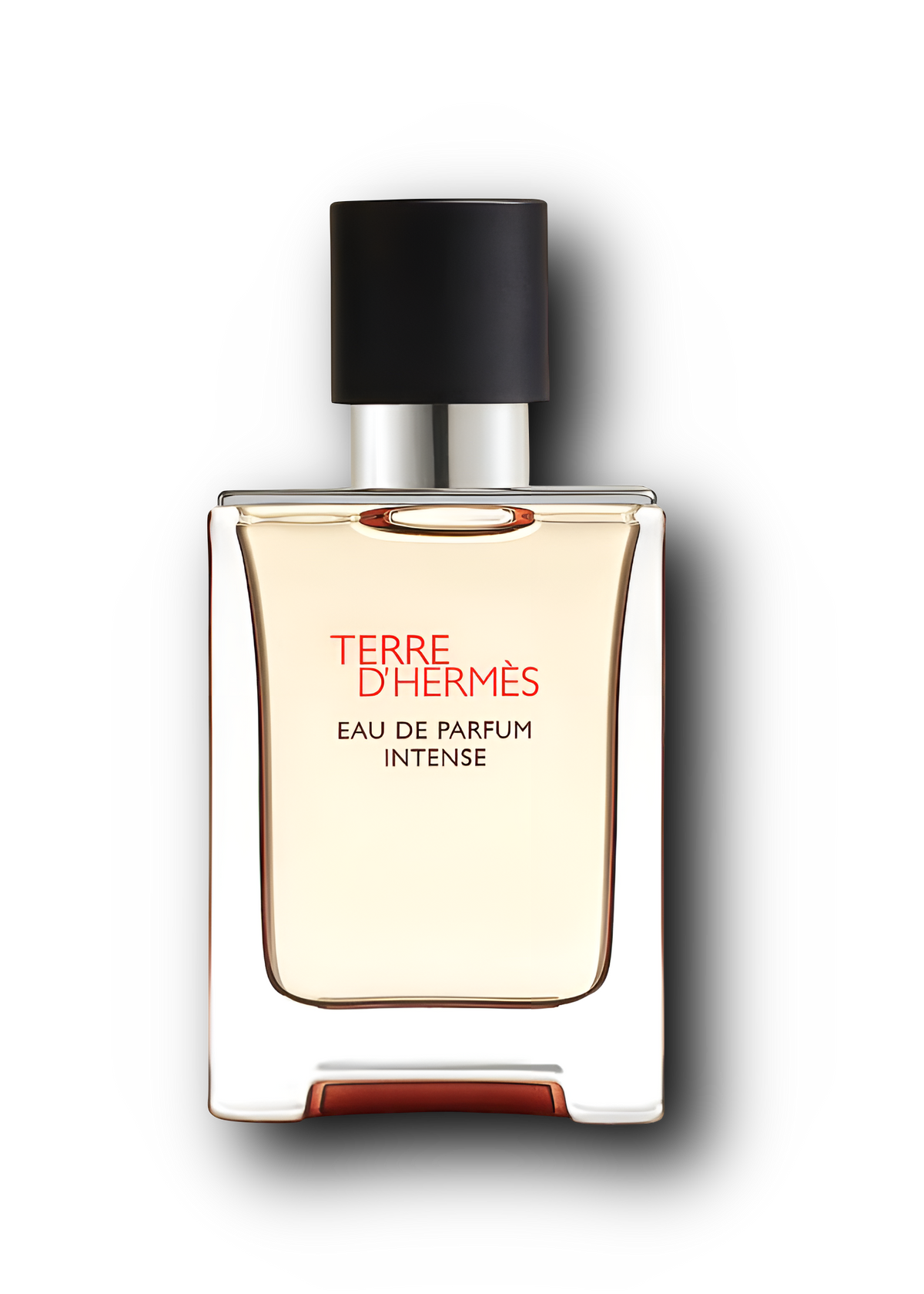 Terre d'Hermès Eau de Toilette 50 ml