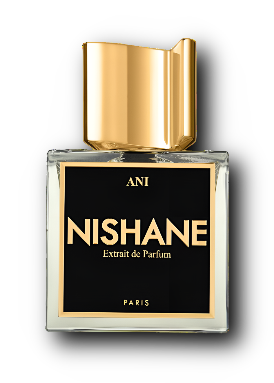 Nishane Ani Parfum Extract Unisex 100ml